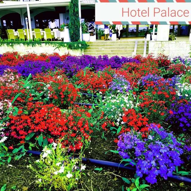 Отель Hotel Palace Marina Dinevi Свети-Влас-25